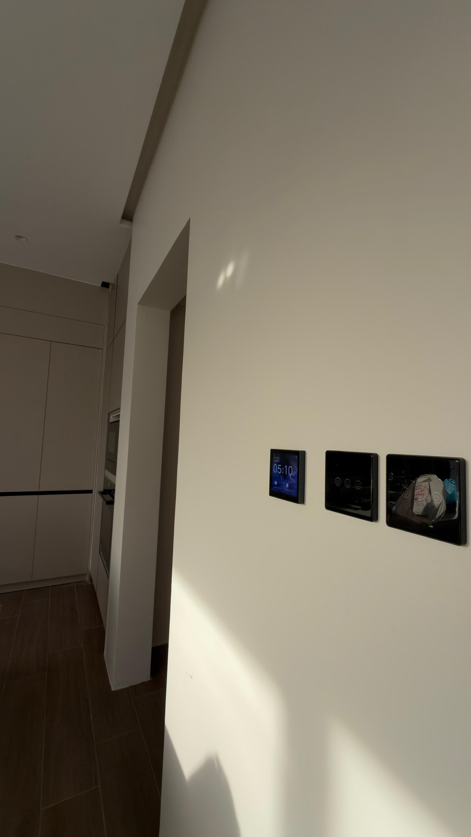 Octonics Project 6