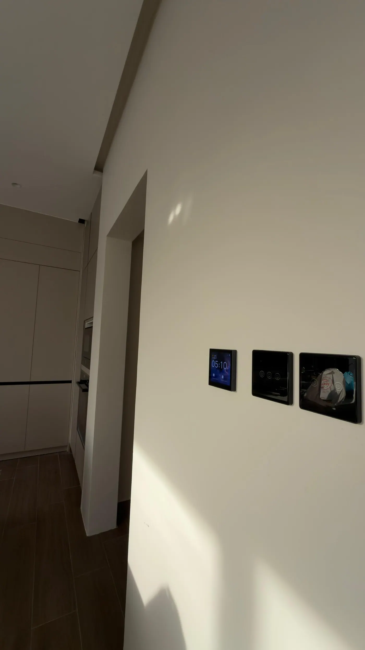 Octonics Project 6
